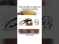 What its like to fight the deadliest beetles in the world!