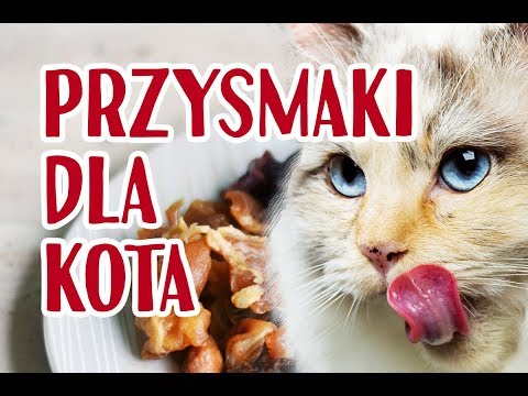 Wideo: Ulubione Smakołyki Dla Kotów