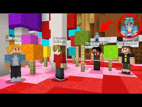 Minecraft Build &