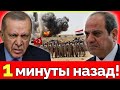 Турция и Египет приведены в боевую готовность: Израиль на грани эскалации