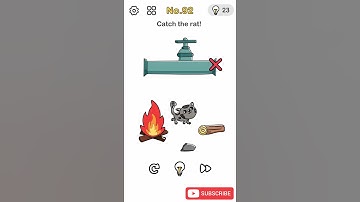 Brain Out Level 92 Catch the rat [ 2021 ] Solution