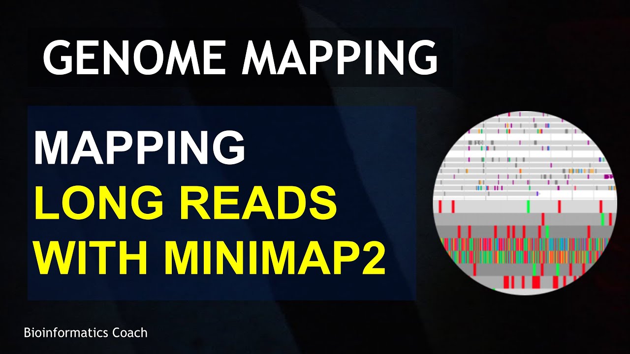 Minimap2 Tutorial for Mapping Long Reads (ONT) Reads in Linux - YouTube