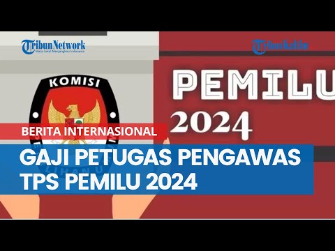 Gaji Petugas Pengawas TPS Pemilu 2024, Cek Nominalnya