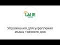 Упражнения на фитболе для укрепления мышц тазового дна. Лечебная физкультура *ЛФК