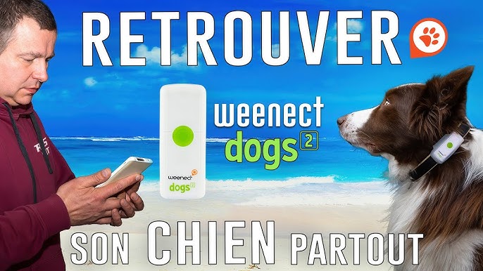 Weenect Dogs 2 Traceur GPS pour chien JungleVet