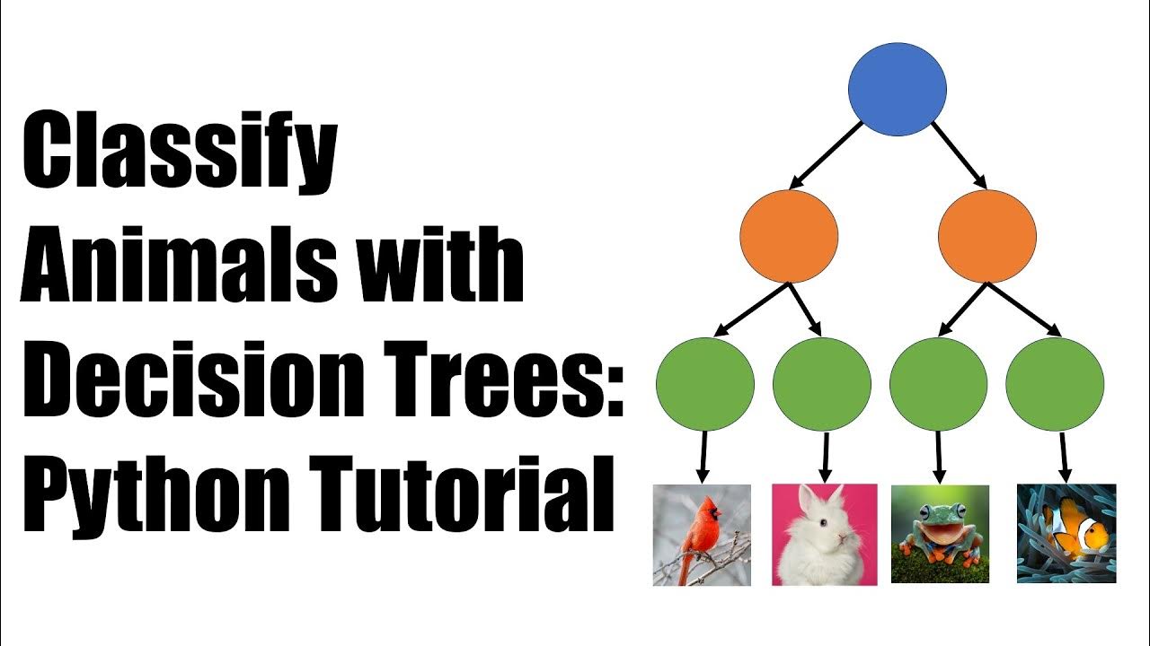 Classify Animals with Decision Trees: A Coding Tutorial - YouTube