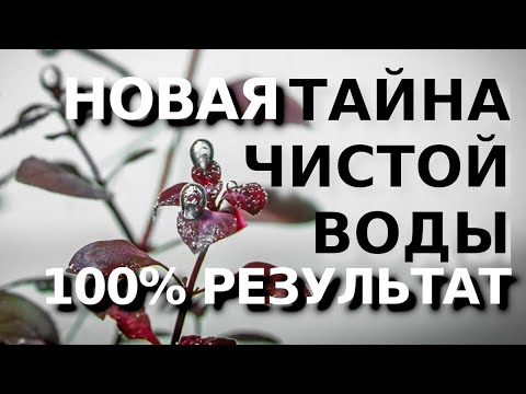 ТАЙНА КРИСТАЛЬНО ЧИСТОЙ ВОДЫ 100 РЕЗУЛЬТАТ