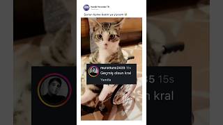 Şunun tipine bakın yaa 😻😻