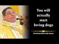 His Holiness Apostle Rohan Lalith Aponso You Will Actually Start Loving Dogs Quotes mp3
