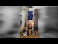 ジャッキーちゃん…Can you become really strong with the training of the movie "Drunken Master"?