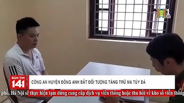 Bản tin 141 ngày 15/7/2019 | Công an huyện Đông Anh bắt đối tượng tàng trữ ma túy đá
