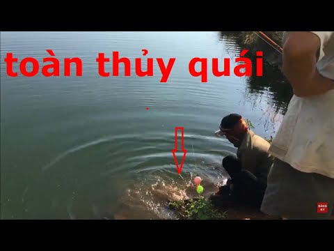 Câu Cá Ao Hoang Nhiều Năm - Lên Con Quái Ngư - Phần 5 | ao ngu nam