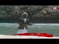ياما ع الساحل سهرنا للفنان الع ماني حكم عايل 