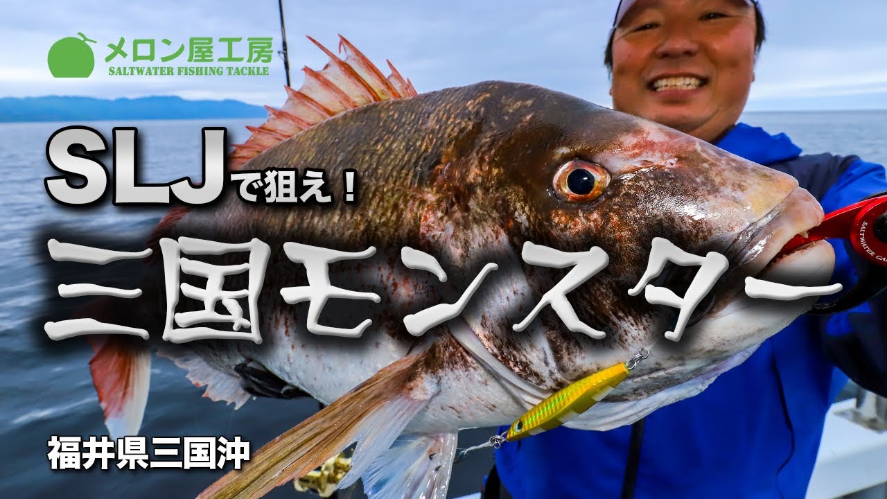 SLJで狙え三国モンスター - YouTube