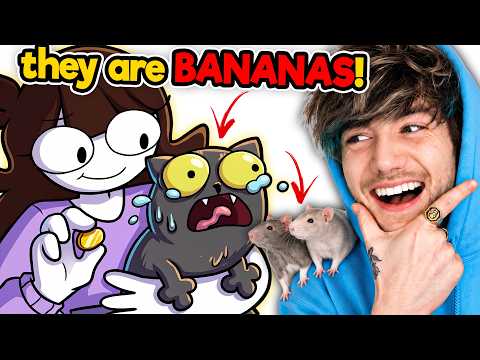Jaiden Animations Cat is the FUNNIEST Creature on Earth!