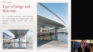 Bridge: Bicycle Snake