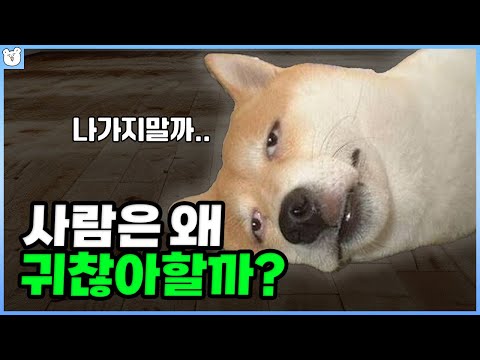 나가기 귀찮은 '과학적인' 이유