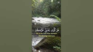قران الكريم راحة نفسية ممكن شتراك 😊🌺#اكسبلور#لايك#المصحف#تيك_توك #الرحمن#سورة#دويتو#سورة_البقرة#duet
