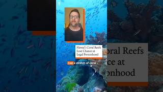 Hawai'i Coral Reefs Denied Legal Personhood