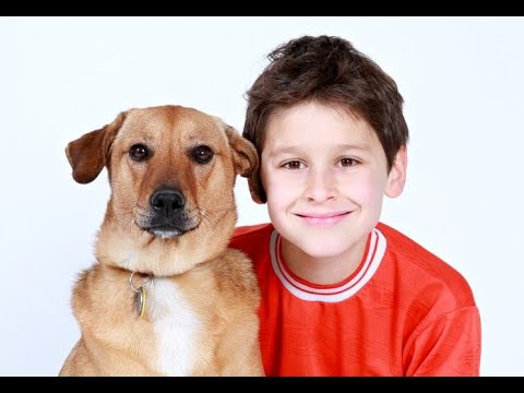 Video: Allergie Nei Bambini Diminuite Nelle Case Con Animali Domestici