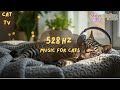 528 Hz Music for Cats While You’re Away 🏡 | Reduce Anxiety &amp; Bring Peace