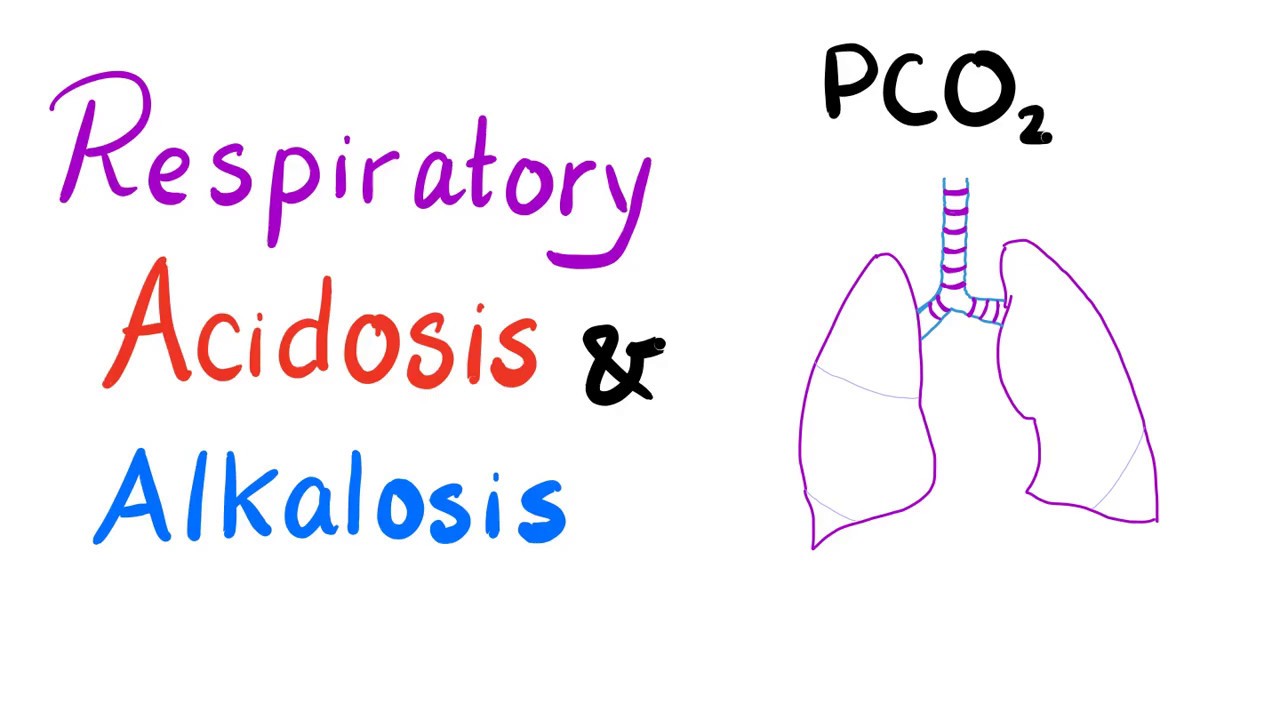 Respiratory Acidosis and Alkalosis Lung Physiology Pulmonary