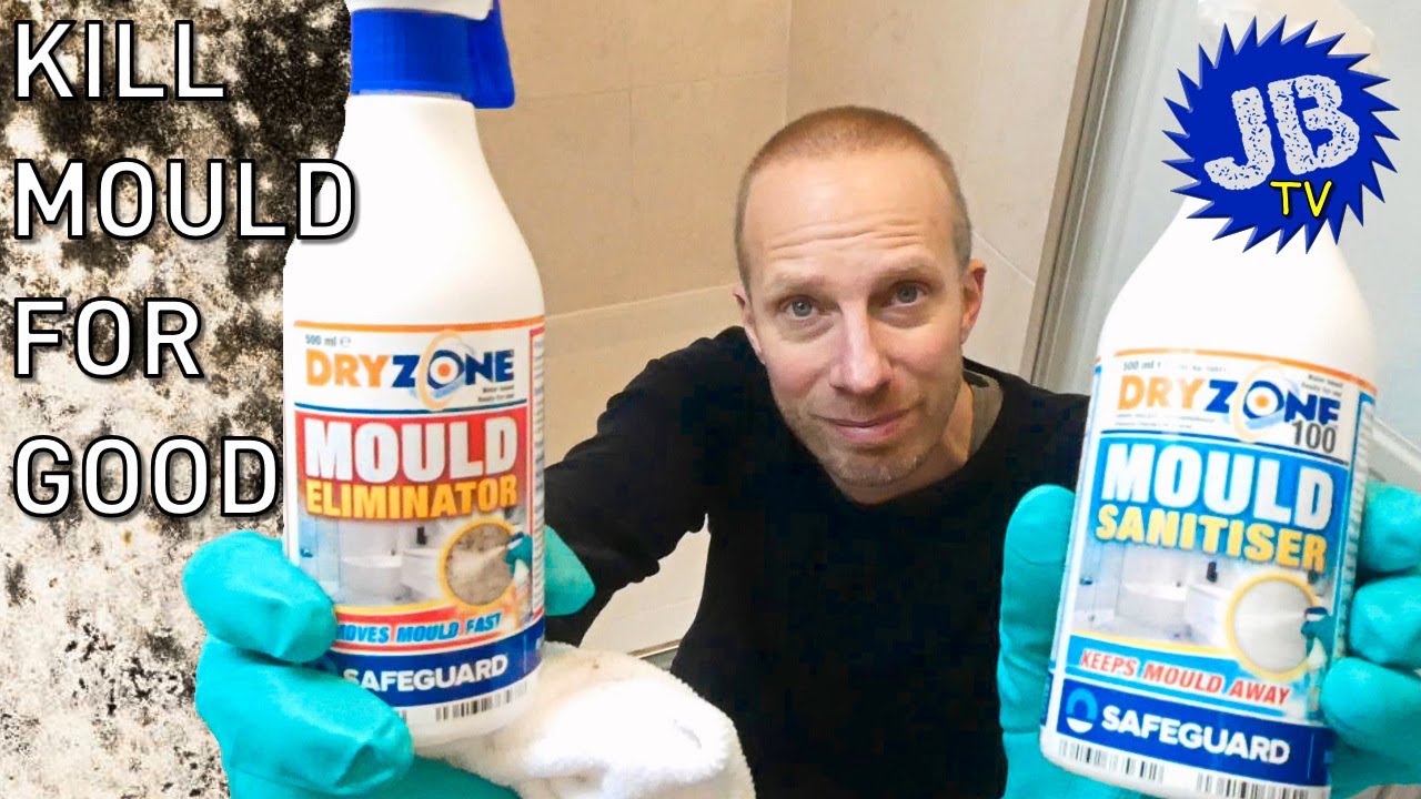 Mould Killer & Remover