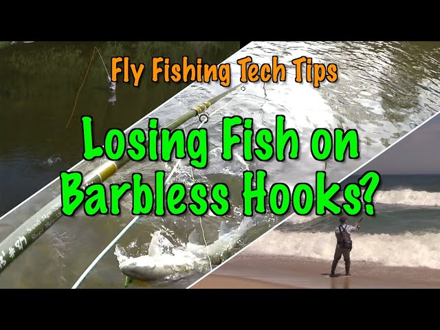 Fly Fishing Tech Tips: Some Reasons Why We Lose Fish on Barbless