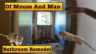 Of Mouse & Man - Bathroom Remodel