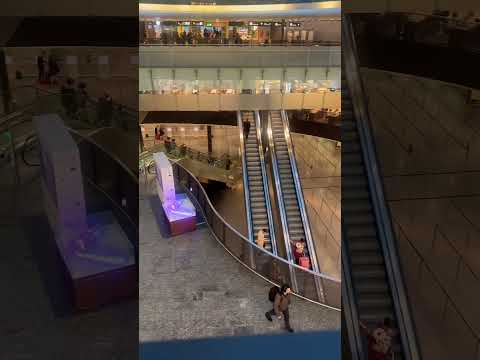 Video: Guía del aeropuerto de Zúrich