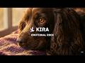 Kira | Emotional Rock for Grief, Healing and Pet Loss - The Song That Still Makes Me Cry