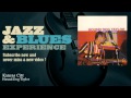 Hound Dog Taylor - Kansas City - JazzAndBluesExperience