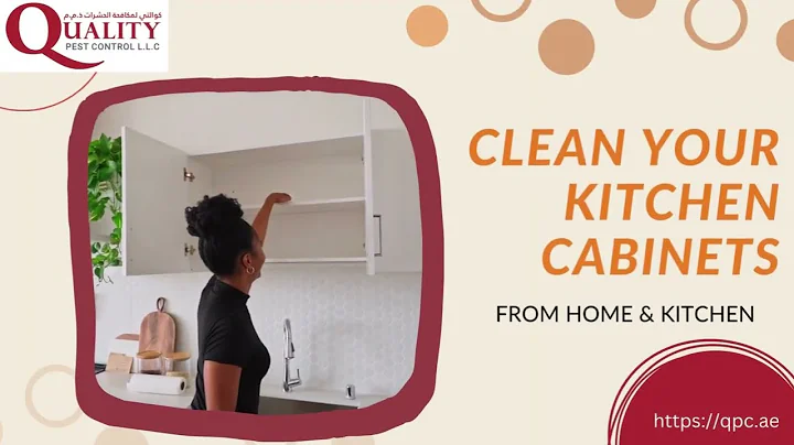 Get rid of cockroaches from the kitchen by Quality Pest Control Company Dubai