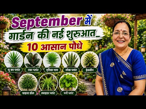 September में गार्डन की नई शुरुआत 10 आसान और पक्के पौधे गार्डन में जरूर लगाए easy to grow plants 🪴