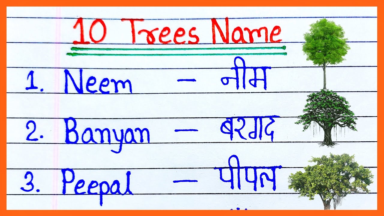 10 Trees Name In English And Hindi 10 Pedon Ke Naam 10 10 Trees Name In English And Hindi 10 Pedon Ke Naam 10