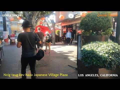 Video: Taug kev ncig ntawm La Jolla California