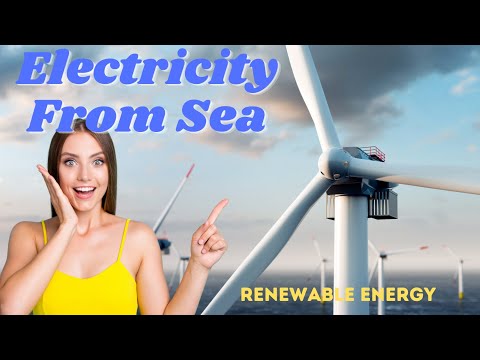 Use The Force Of The Waves To Power Your Home! Sea Wave Energy Is A Clean And Renewable Resource.