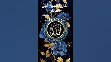 #ماتيسر_من سورة الاحقاف بصوت القارئ الشيخ آنس المالك قناه القرآن الكريم الرسمية