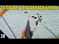 KAYAKING Out For RARE Ducks with a 20 Gauge! (Limits) | Duck Hunting 2020