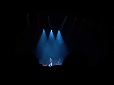 Daylight - David