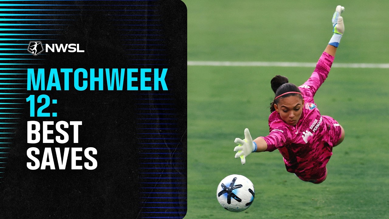Best Saves From Matchweek 12