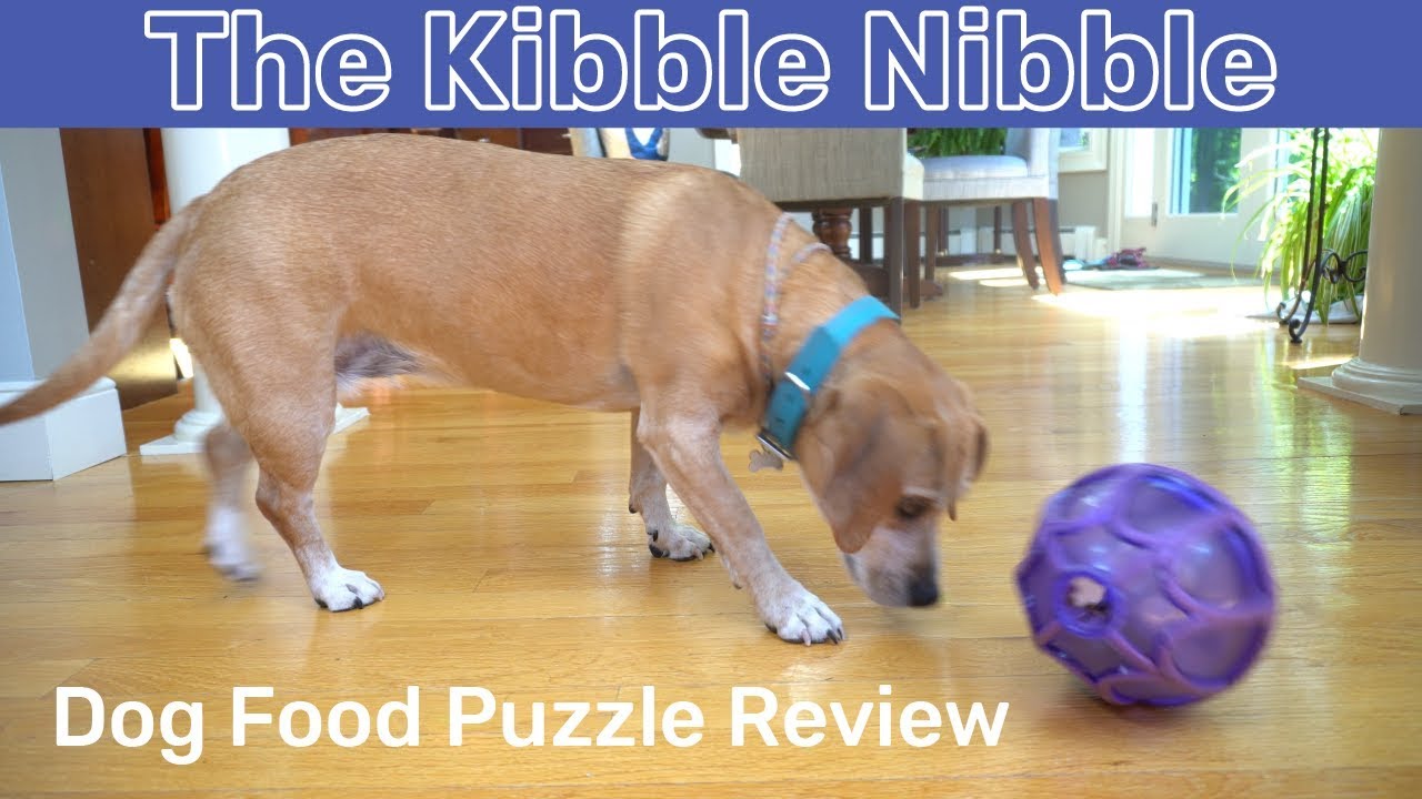 Busy Buddy Kibble Nibble Dog Toy Medium/ Large