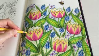 The Sweet Spring | BLOMSTERMANDALA Coloring Book | Coloring With Colored Pencils