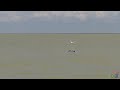 Дельфины Ейск 31 мая 2020