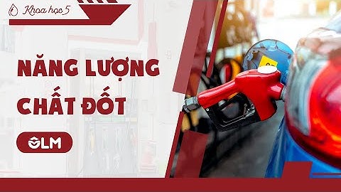 Năng lượng chất đốt (phần 1) - Khoa học 5 - OLM.VN