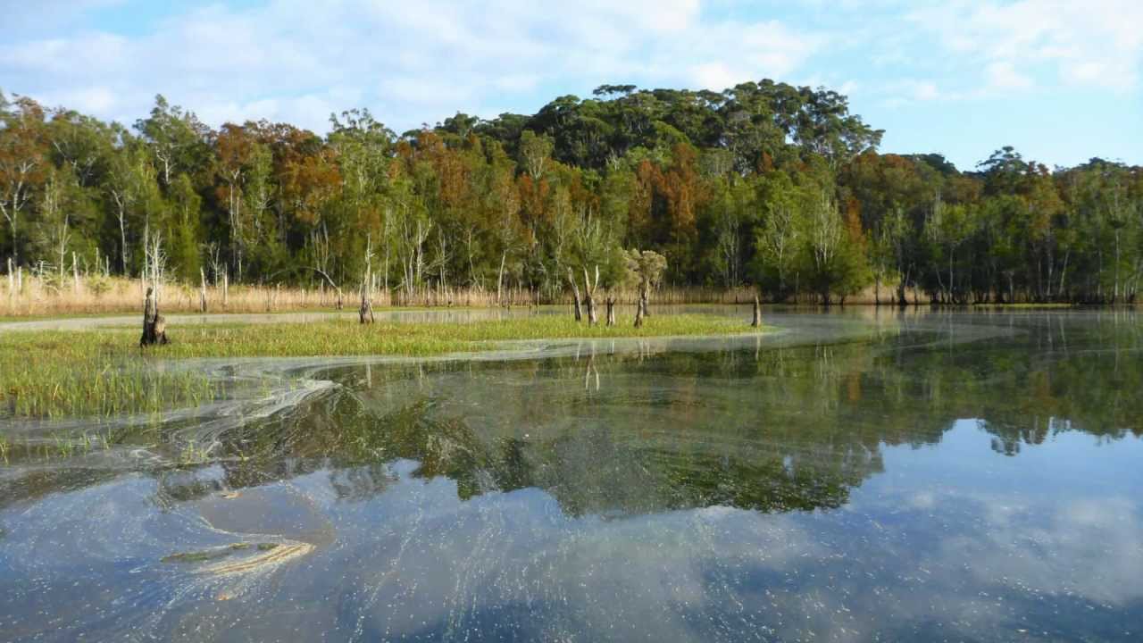 CENTRAL COAST BULBARARING/AVOCA LAGOON KAYAK YouTube