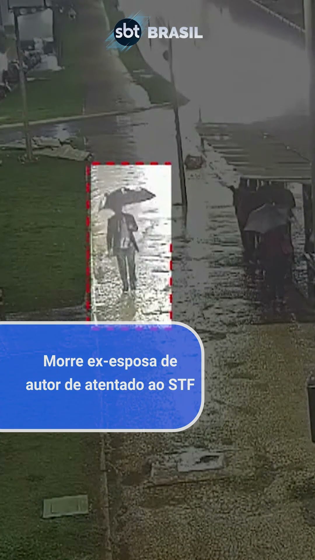 Morre ex-mulher do homem que causou explosões no STF | SBT Brasil (03/12/24)
