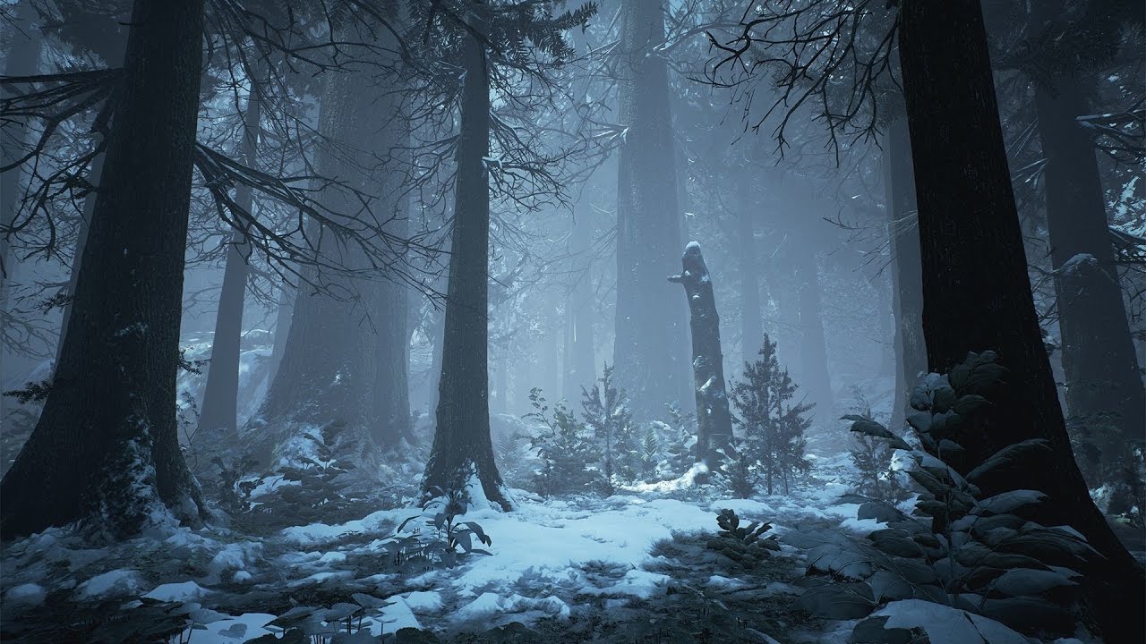 Image result for dark forest winter