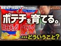 #54【ベランダ栽培】カルビーから出たポテトバックを使ってベランダでジャガイモ栽培【ゲッチューファーム】