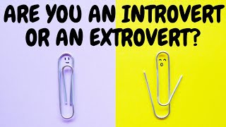 Are You An Introvert Or An Extrovert?